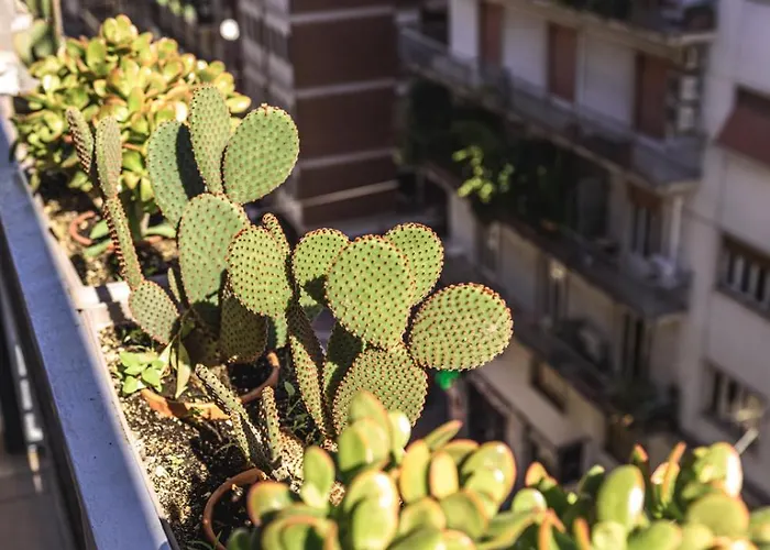 Appartement Centralflats 195 Private